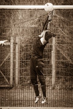 Bild 2998 - Frauen SV Henstedt Ulzburg - TSV Limmer : Ergebnis: 5:0